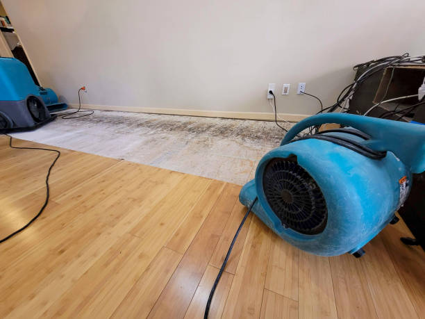 Professional Water Extraction technician working in Salem, NJ